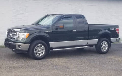 2013 Ford F-150 for sale at Minerva Motors LLC in Minerva OH
