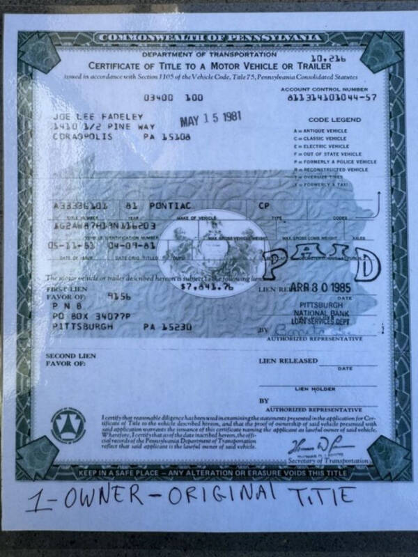 1981 Pontiac Firebird Trans Am