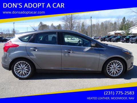 2014 Ford Focus for sale at DON'S ADOPT A CAR in Cadillac MI