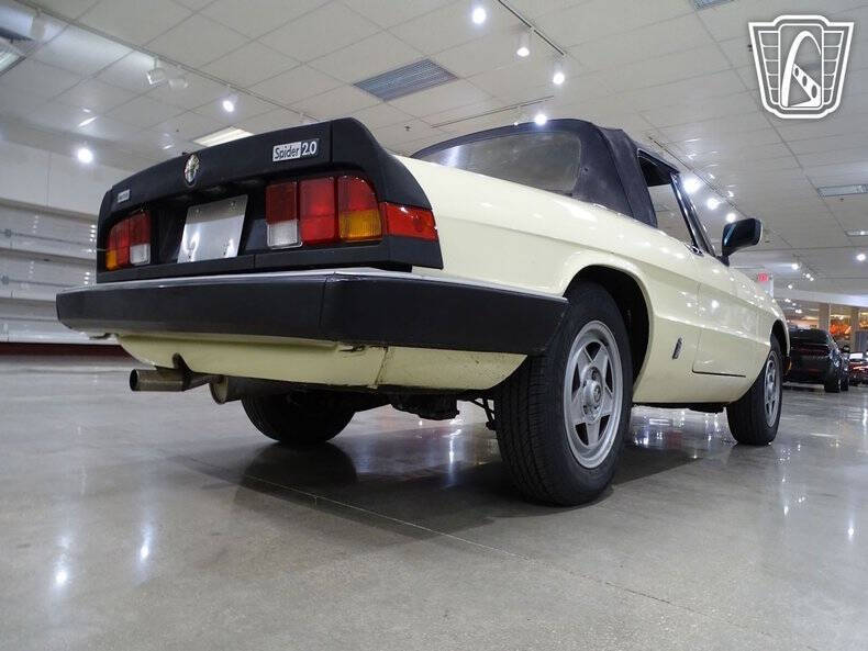 1984 Alfa Romeo Spider Veloce