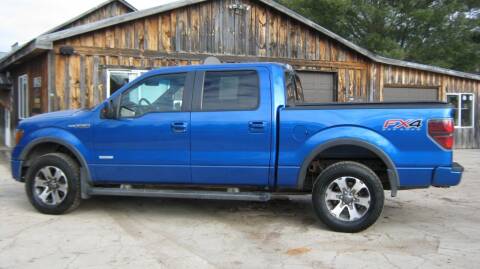 2012 Ford F-150 for sale at Spear Auto Sales in Wadena MN