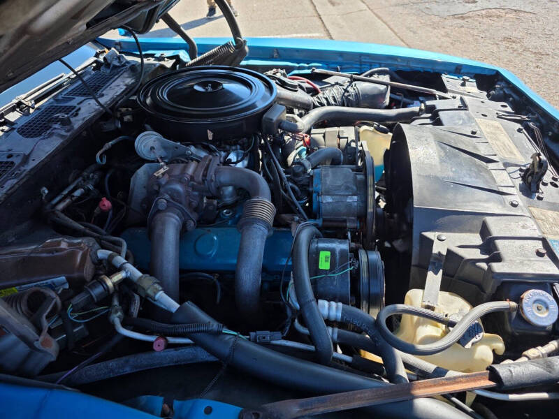 1980 Pontiac Firebird Trans Am