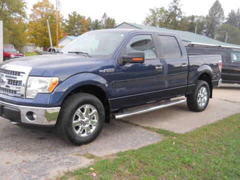 2014 Ford F-150 for sale at Shaw Motor Sales in Kalkaska MI