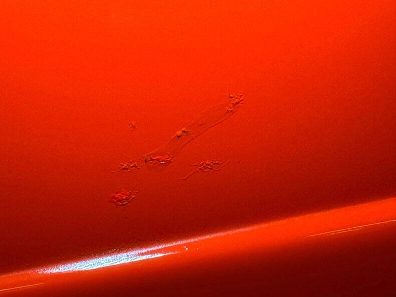 1938 Chevrolet Master Deluxe