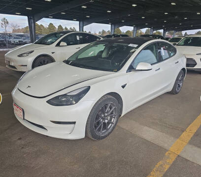 2021 Tesla Model 3 for sale at The Car Cove, LLC in Muncie IN