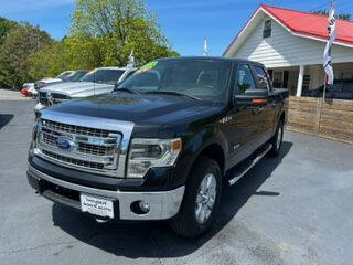 2014 Ford F-150 for sale at Houser & Son Auto Sales in Blountville TN