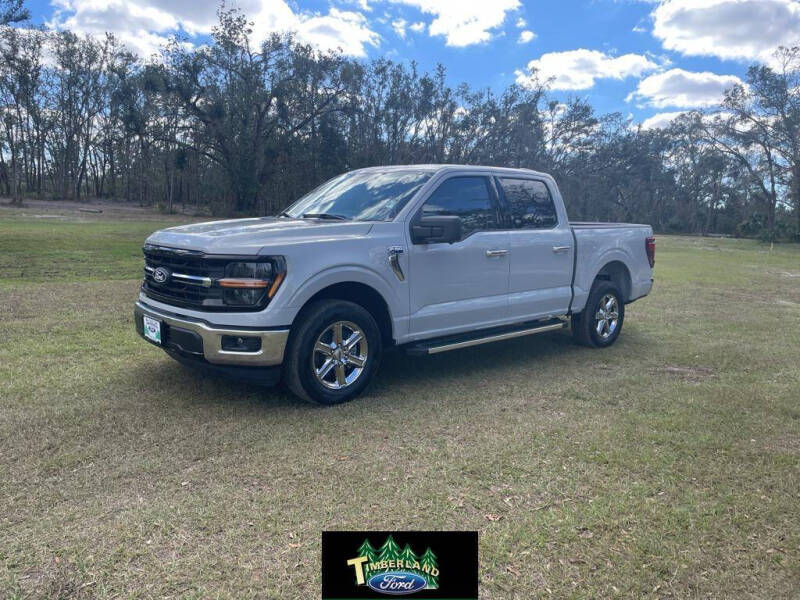 2024 Ford F-150 for sale at TIMBERLAND FORD in Perry FL