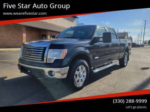 2012 Ford F-150 for sale at Five Star Auto Group in North Canton OH