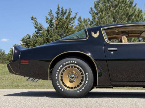 1981 Pontiac Firebird Trans Am