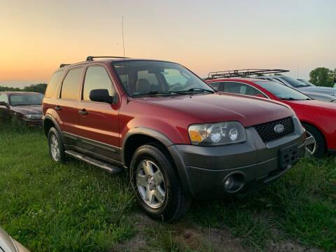 2006 Ford Escape for sale at Nice Cars in Pleasant Hill MO