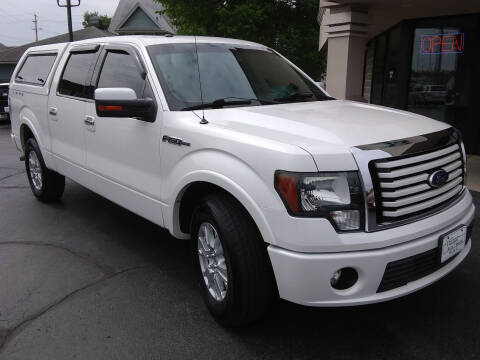 2011 Ford F-150 for sale at Village Auto Outlet in Milan IL