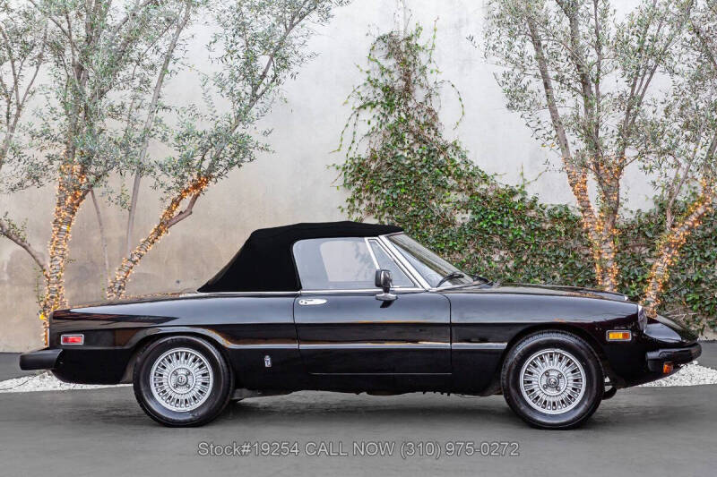 1981 Alfa Romeo Spider Veloce