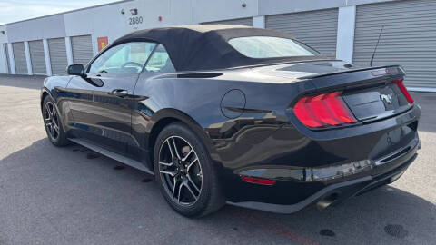 2019 Ford Mustang