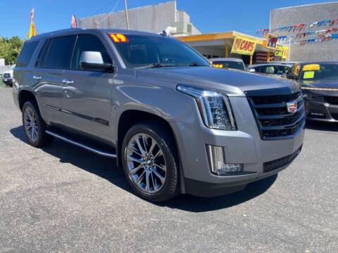 2019 Cadillac Escalade for sale at Speciality Auto Sales in Oakdale CA