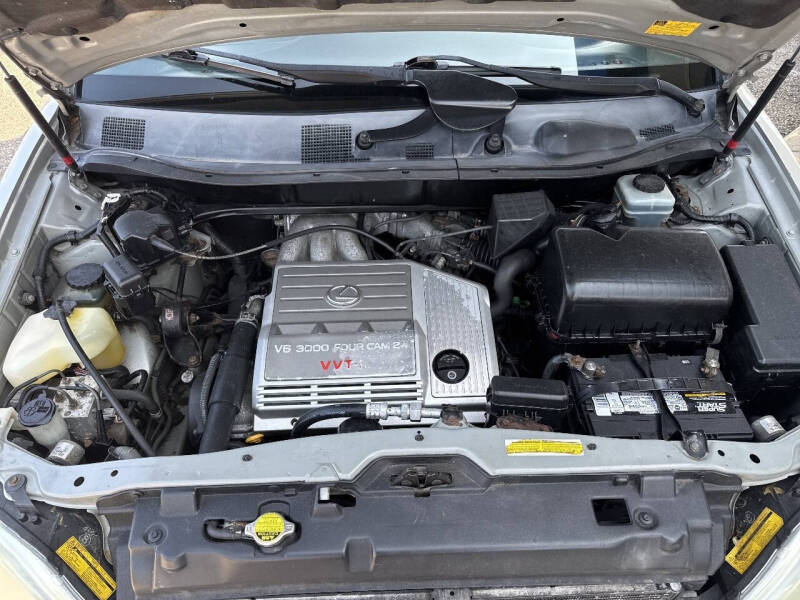 Click to enlarge