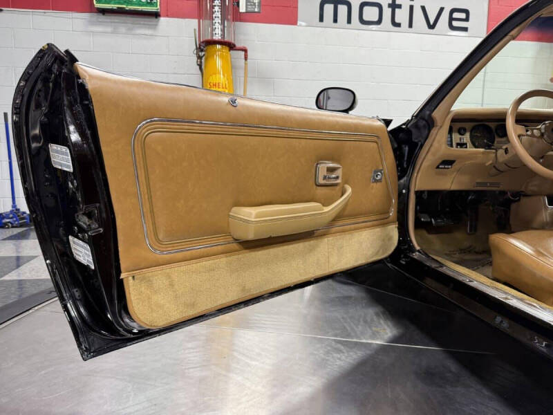 1981 Pontiac Firebird Trans Am