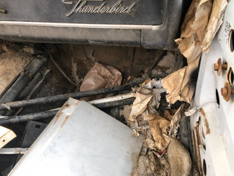 1965 Ford Thunderbird