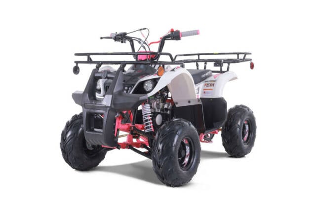 2023 TAO POWERSPORTS D125 ATV for sale at Advanti Powersports in Mesa, AZ