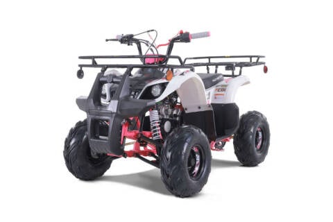 2023 TAO POWERSPORTS D125 ATV for sale at Advanti Powersports in Mesa AZ