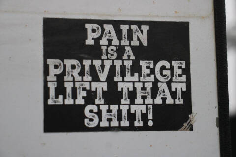 2022 International CV515