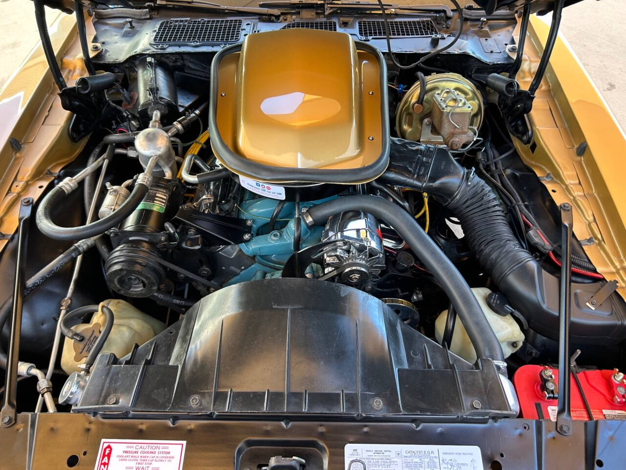 1979 Pontiac Firebird 27