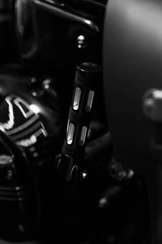 2018 Harley-Davidson FLSL