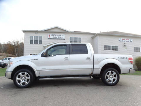 2014 Ford F-150 for sale at SOUTHERN SELECT AUTO SALES in Medina OH