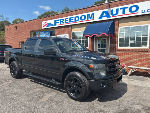 2013 Ford F-150 for sale at FREEDOM AUTO LLC in Wilkesboro NC