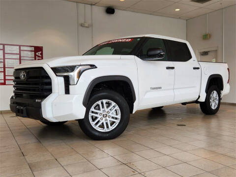 2022 Toyota Tundra for sale at Express Purchasing Plus in Hot Springs AR
