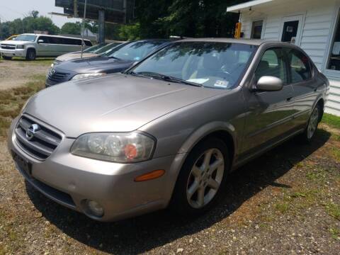 2002 Nissan Maxima for sale at Ray's Auto Sales in Elmer NJ