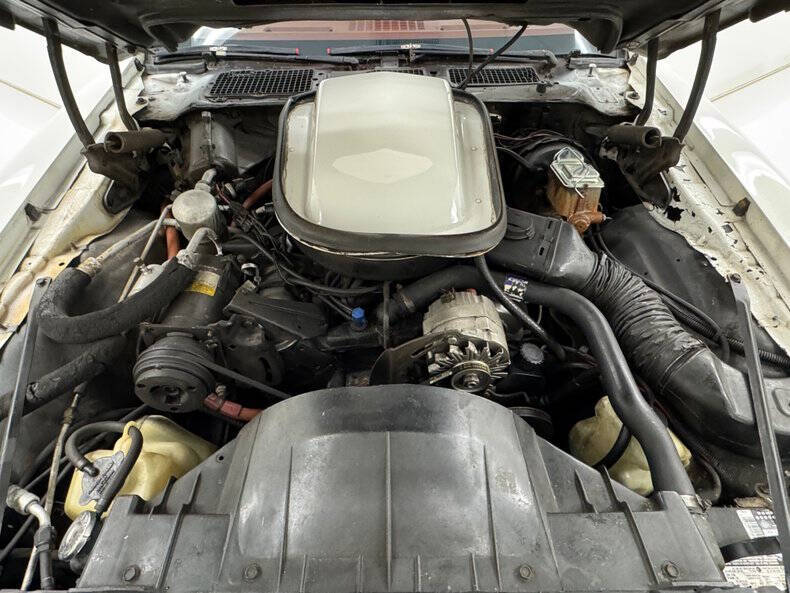 1979 Pontiac Firebird