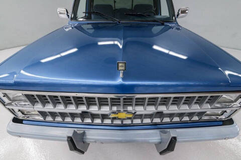 1981 Chevrolet C/K 10 Series