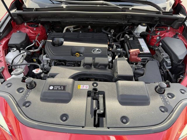 2022 Lexus NX 250 Premium