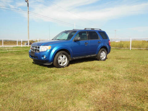 2011 Ford Escape XLT