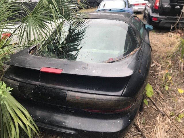 1995 Pontiac Firebird Trans Am