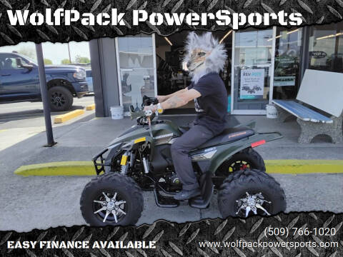 2025 Denago DAYTONA  250 FI ATV