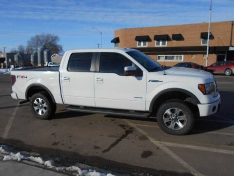 2011 Ford F-150 for sale at Creighton Auto & Body Shop in Creighton NE
