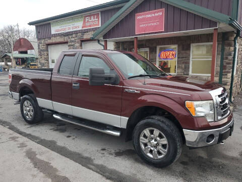 2009 Ford F-150 for sale at Douty Chalfa Automotive in Bellefonte PA
