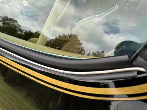 1981 Pontiac Firebird Trans Am