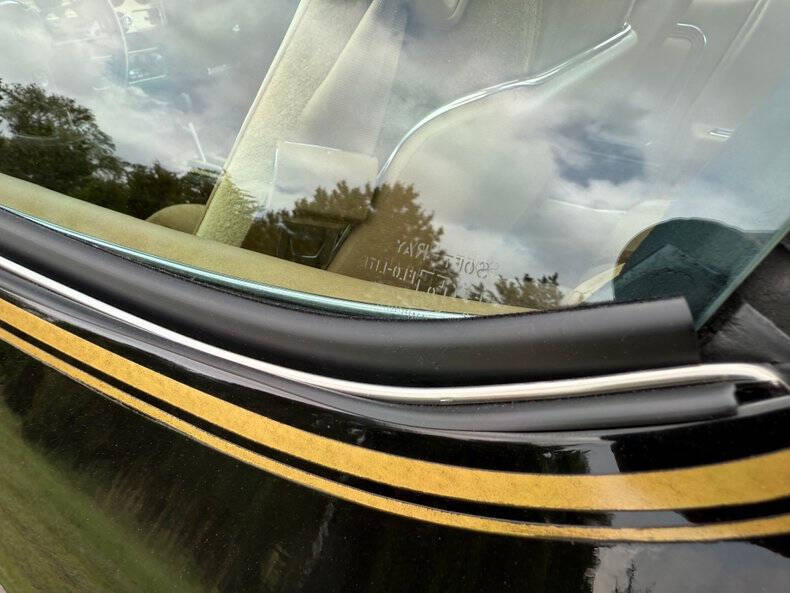 1981 Pontiac Firebird Trans Am