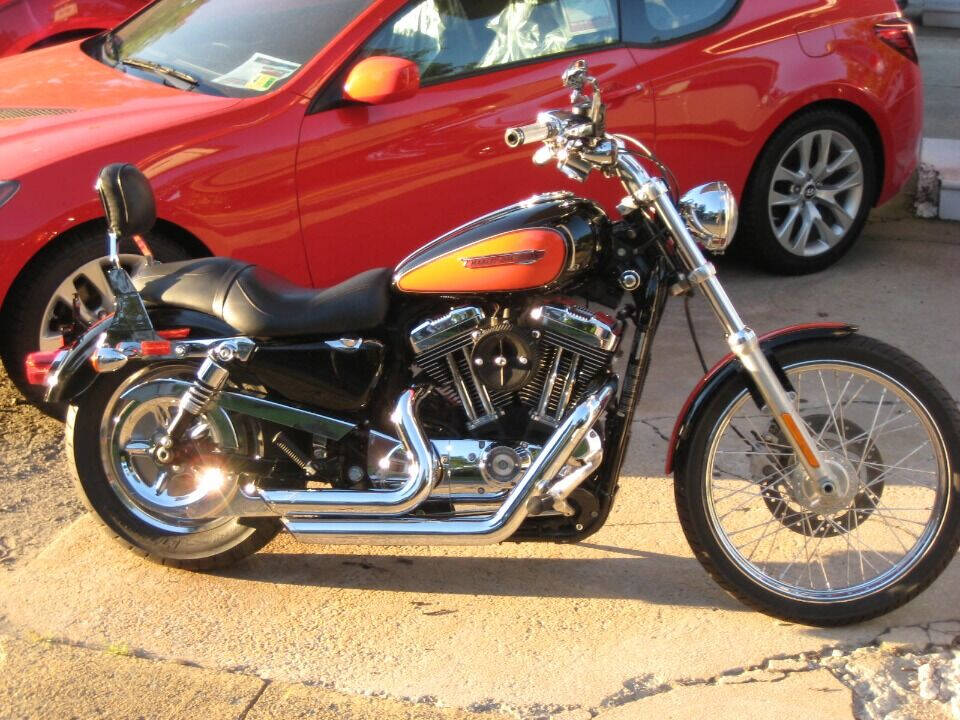 2009 Harley-Davidson Sportster 1200 Custom for sale at Auto Link Inc in Hamilton, VA