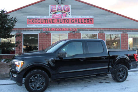 2023 Ford F-150 for sale at EXECUTIVE AUTO GALLERY INC in Walnutport PA