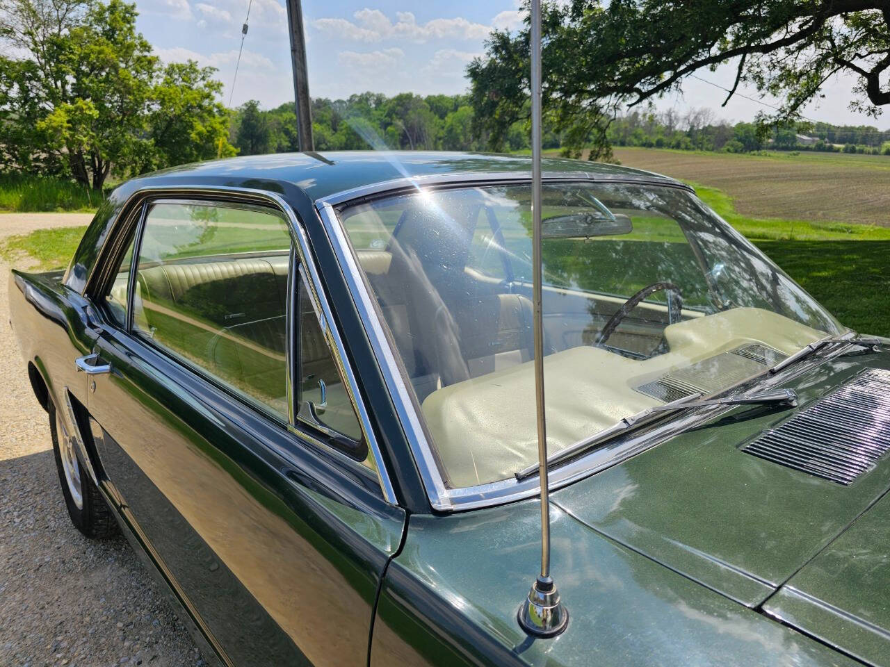 1965 Ford Mustang 88