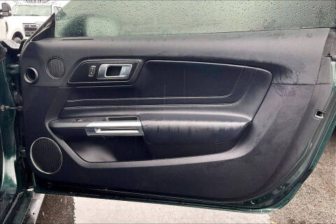 2019 Ford Mustang BULLITT