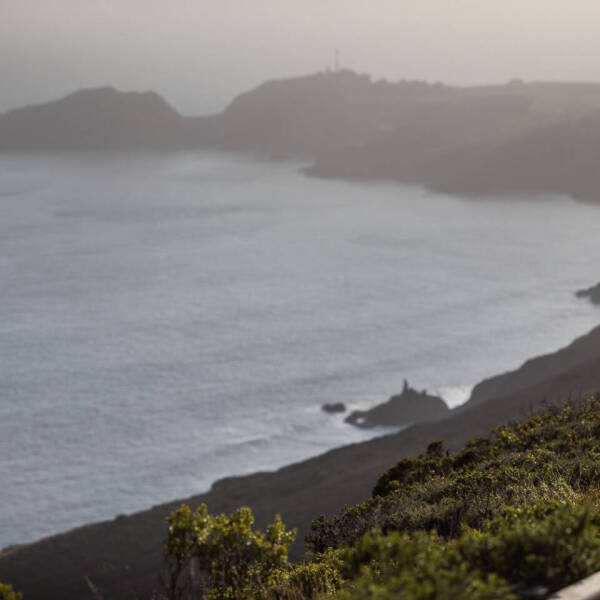 1989 Porsche 911 Carrera 4