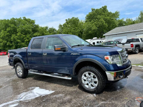 2014 Ford F-150 for sale at Deals on Wheels Auto Sales in Scottville MI