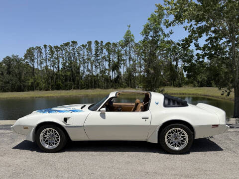 1981 Pontiac Firebird Trans Am