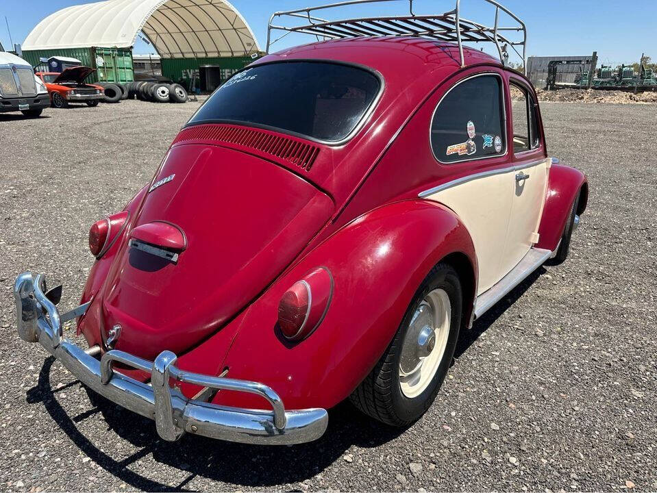 1966 Volkswagen Beetle for sale at Schlig Equipment Sales LLC in Maricopa, AZ