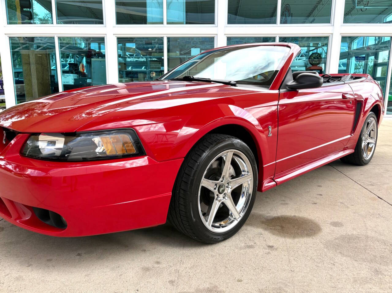 1999 Ford Mustang SVT Cobra 12