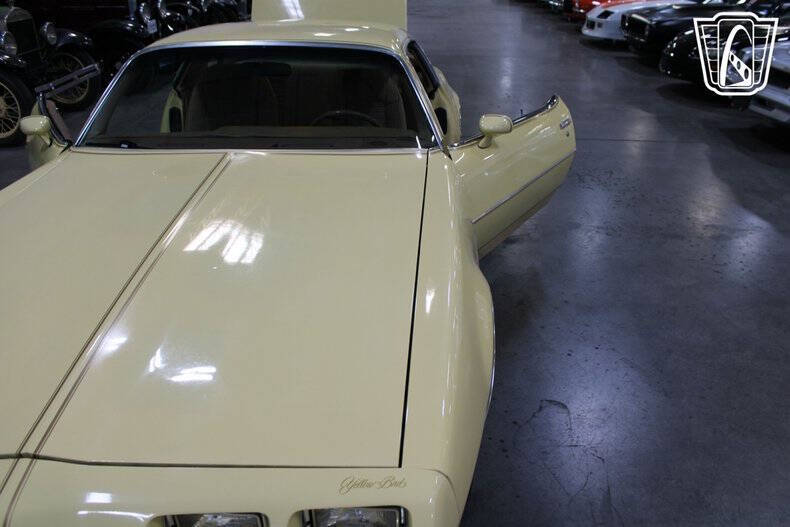 1980 Pontiac Firebird